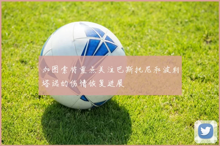 加图索将重点关注巴斯托尼和波利塔诺的伤情恢复进展