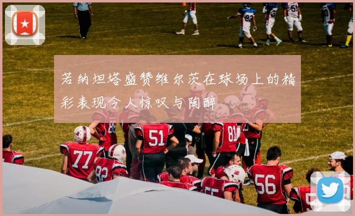 若纳坦塔盛赞维尔茨在球场上的精彩表现令人惊叹与陶醉